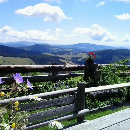 Sommeralmhuette * Sankt Kathrein am Offenegg