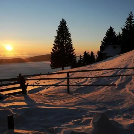 Sommeralmhuette Hébergement de vacances Sankt Kathrein am Offenegg