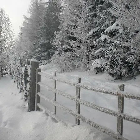 Prázdninový dům Sommeralmhuette