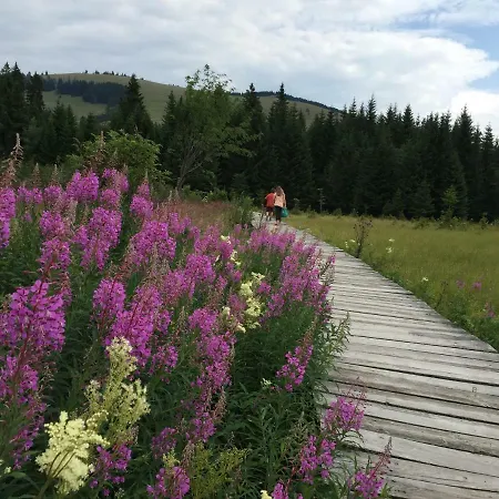 Sommeralmhuette Nyaraló Sankt Kathrein am Offenegg