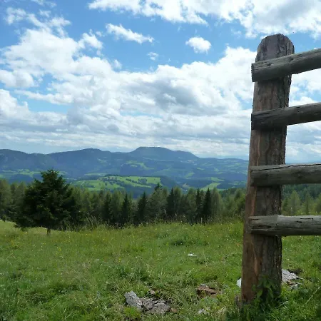 Sommeralmhuette Hébergement de vacances Sankt Kathrein am Offenegg